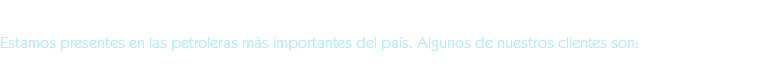 &nbsp;Estamos presentes en las petroleras más importantes del país. Algunos de nuestros clientes son: